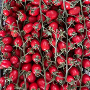 Pomodoro